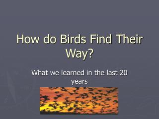 How do Birds Find Their Way?