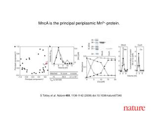 S Tottey et al. Nature 455 , 1138-1142 (2008) doi:10.1038/nature07340