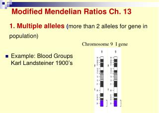 1. Multiple alleles ( more than 2 alleles for gene in population)