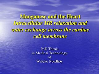 PhD Thesis in Medical Technology of Wibeke Nordhøy