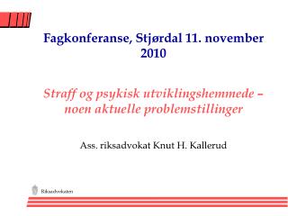 Fagkonferanse, Stjørdal 11. november 2010