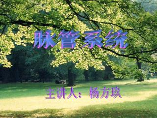 主讲人：杨方玖