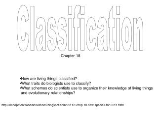 Classification