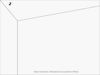 MNCs ownership structures – typical patterns