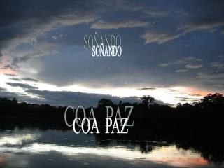 SOÑANDO