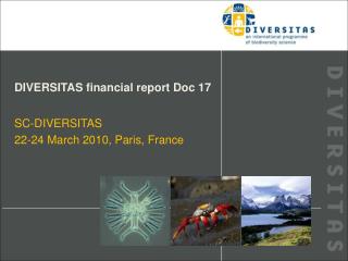 DIVERSITAS financial report Doc 17