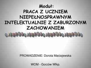 Moduł: PRACA Z UCZNIEM NIEPEŁNOSPRAWNYM INTELEKTUALNIE Z ZABURZONYM ZACHOWANIEM