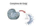 Complexo de Golgi