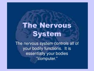 The Nervous System