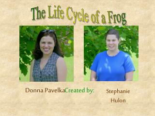 The Life Cycle of a Frog