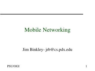 Mobile Networking