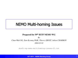 NEMO Multi-homing Issues