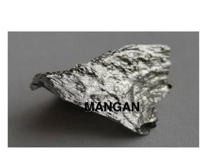 MANGAN