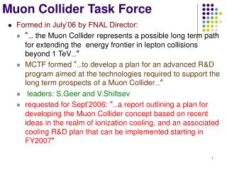 Muon Collider Task Force