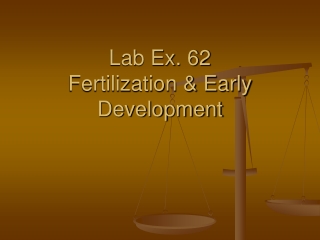 Lab Ex. 62 Fertilization & Early Development