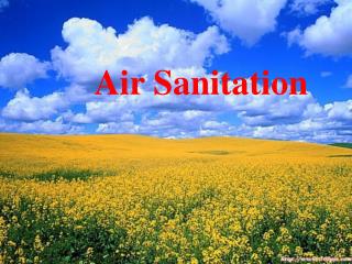 Air Sanitation