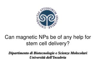Can magnetic NPs be of any help for stem cell delivery?