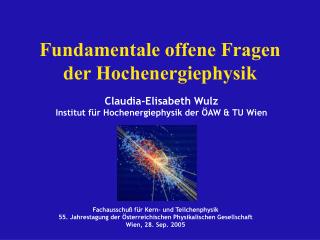 Fundamentale offene Fragen der Hochenergiephysik