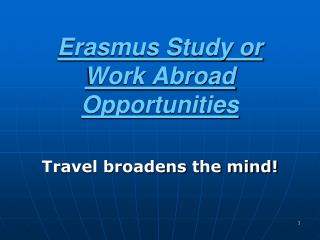 Erasmus Study or Work Abroad Opportunities