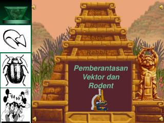 Pemberantasan Vektor dan Rodent