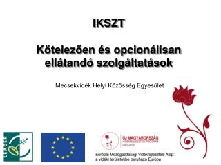 IKSZT Kötelezően és opcionálisan ellátandó szolgáltatások