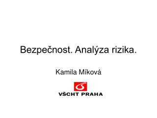 Bezpečnost. Analýza rizika.