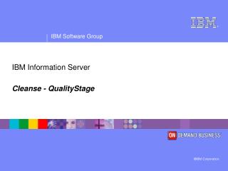 IBM Information Server