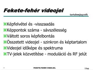 Fekete-fehér videojel