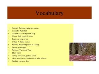 Vocabulary