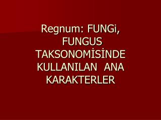 Regnum: FUNGi, FUNGUS TAKSONOMİSİNDE KULLANILAN ANA KARAKTERLER