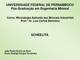 UNIVERSIDADE FEDERAL DE PERNAMBUCO Pós-Graduação em Engenharia Mineral