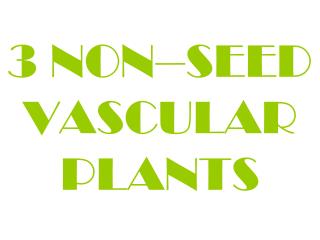 3 NON–SEED VASCULAR PLANTS