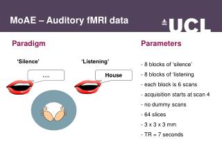 MoAE – Auditory fMRI data