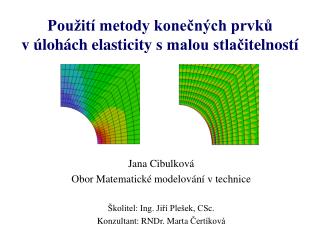 Použití metody konečných prvků v úlohách elasticity s malou stlač i telností