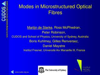 Modes in Microstructured Optical Fibres