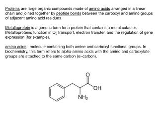 primary structure