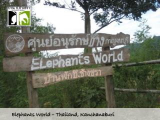 Elephants World – Thailand, Kanchanaburi