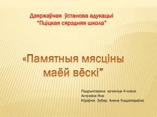 Дзяржаўная ўстанова адукацыі “Пціцкая сярэдняя школа”