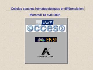 Cellules souches hématopoïétiques et différenciation