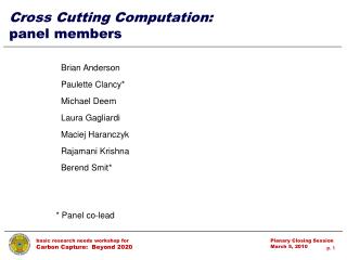 Cross Cutting Computation: panel members