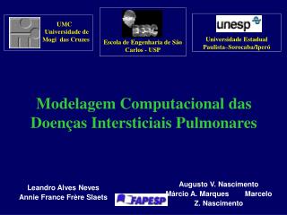 Modelagem Computacional das Doenças Intersticiais Pulmonares