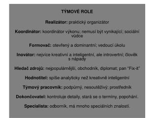 TÝMOVÉ ROLE Realizátor: praktický organizátor