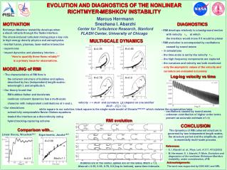 EVOLUTION AND DIAGNOSTICS OF THE NONLINEAR RICHTMYER-MESHKOV INSTABILITY