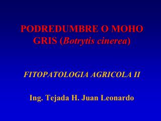 PODREDUMBRE O MOHO GRIS ( Botrytis cinerea )
