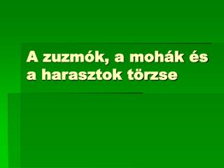 A zuzmók, a mohák és a harasztok törzse