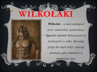 WILKOŁAKI