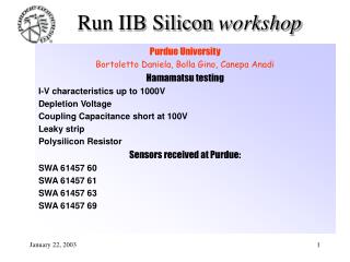 Run IIB Silicon workshop