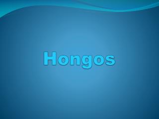 Hongos