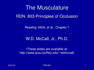 The Musculature