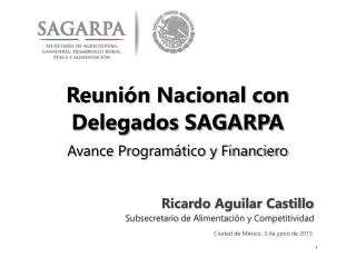 Reunión Nacional con Delegados SAGARPA Avance Programático y Financiero
